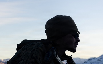 U.S. Marines with 2nd Bn., 4th Marines conduct an ambush during MTX 1-26