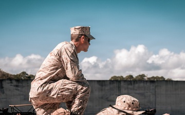 Bravo Company Table One