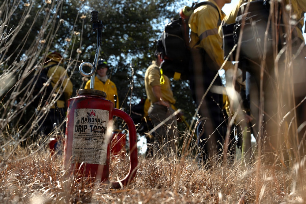 Prescribed burns transform JBSA-Camp Bullis