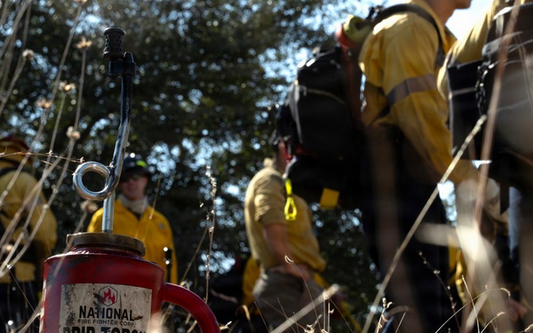 Prescribed burns transform JBSA-Camp Bullis