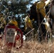 Prescribed burns transform JBSA-Camp Bullis