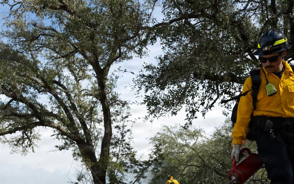 Prescribed burns transform JBSA-Camp Bullis