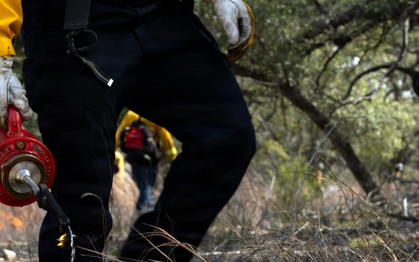 Prescribed burns transform JBSA-Camp Bullis