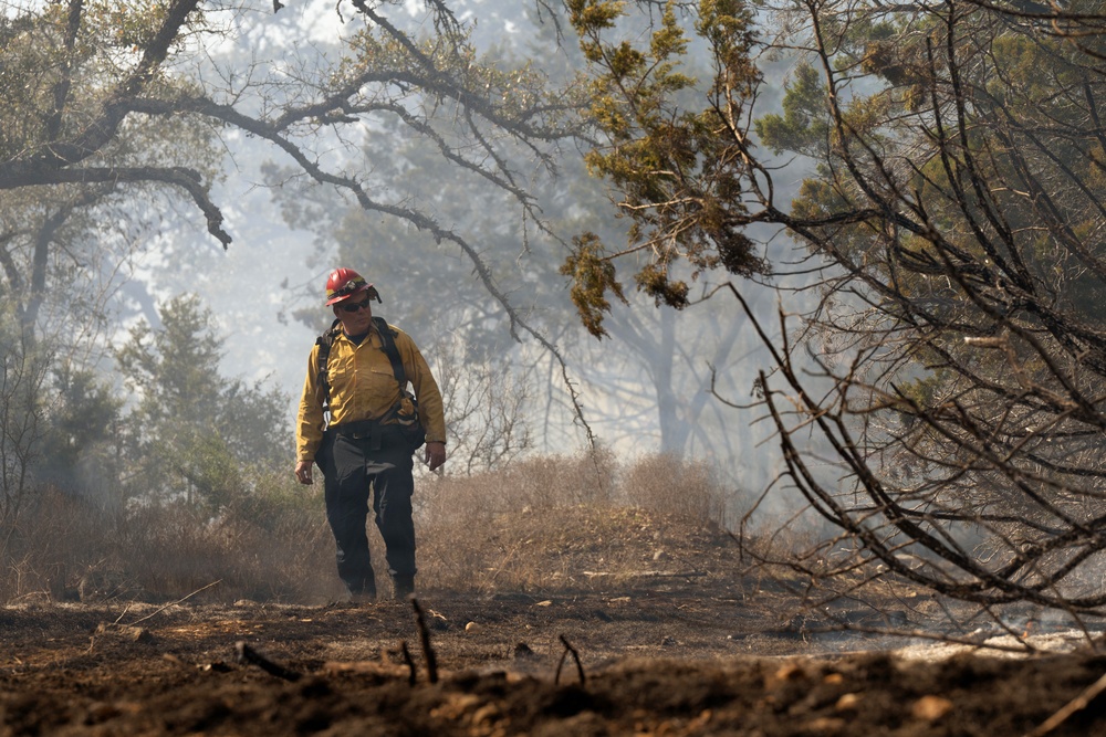 Prescribed burns transform JBSA-Camp Bullis