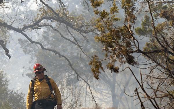 Prescribed burns transform JBSA-Camp Bullis
