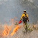 Prescribed burns transform JBSA-Camp Bullis