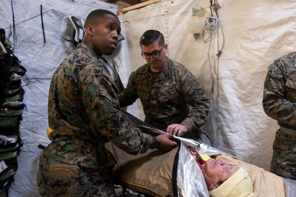 1st Med Bn., 1st MLG participate in a CERTEX