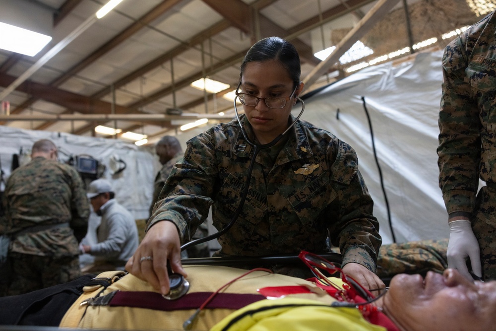 1st Med Bn., 1st MLG participate in a CERTEX