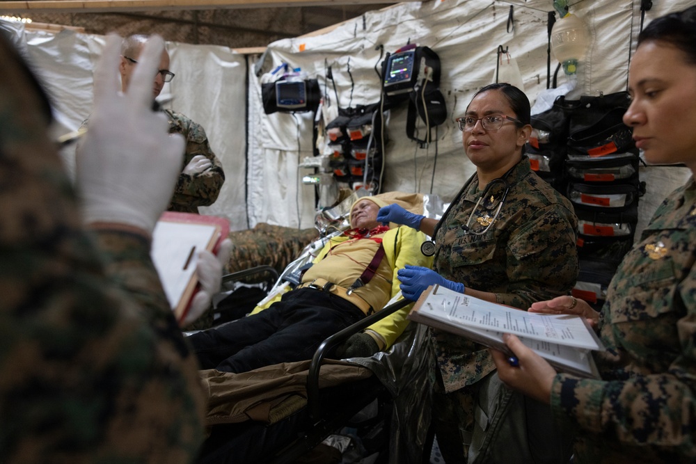 1st Med Bn., 1st MLG participate in a CERTEX