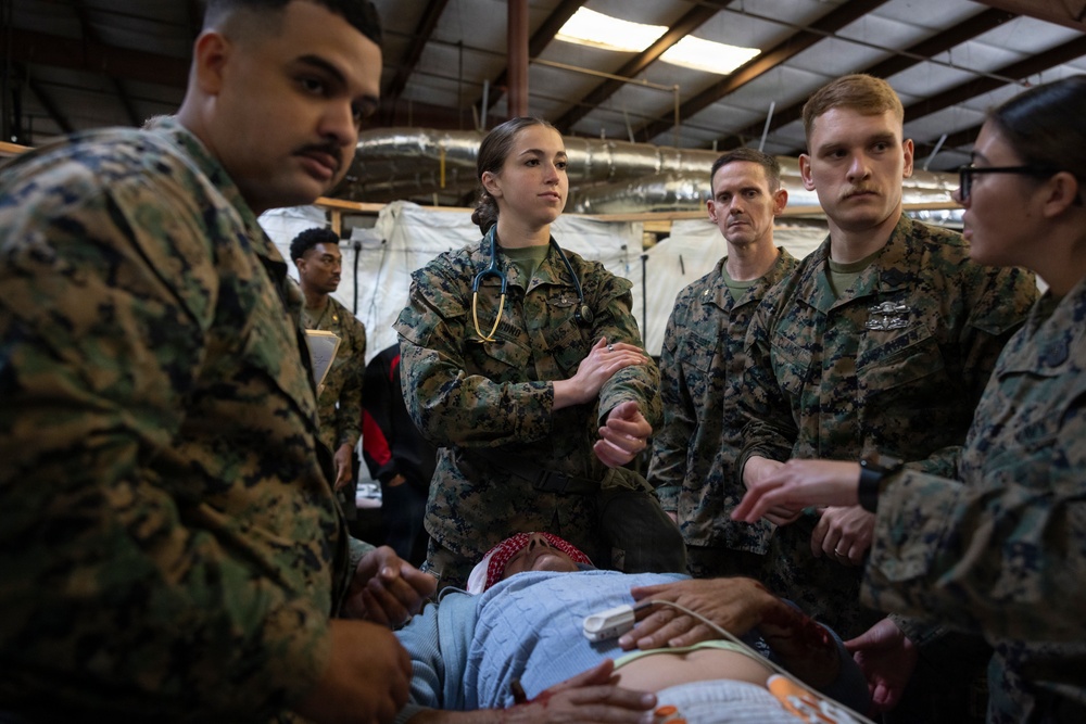 1st Med Bn., 1st MLG participate in a CERTEX