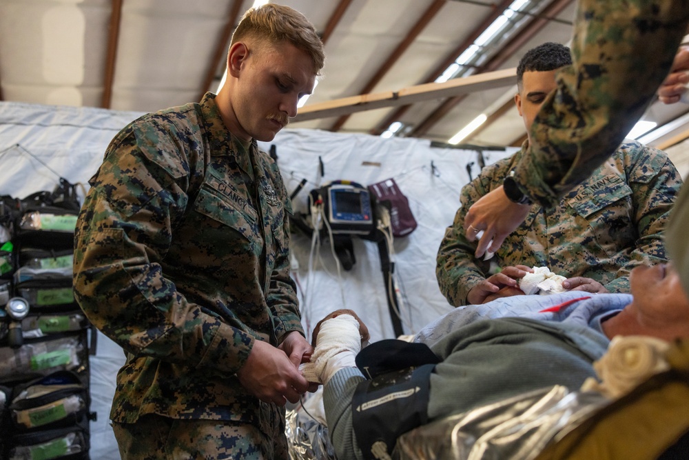 1st Med Bn., 1st MLG participate in a CERTEX