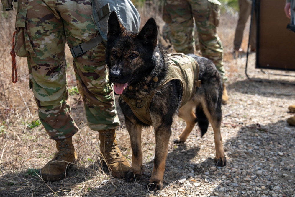 First Year Graduate Veterinary Education officers sharpen CBRNE response skills during Military Working Dog Week 2026