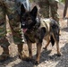 First Year Graduate Veterinary Education officers sharpen CBRNE response skills during Military Working Dog Week 2026