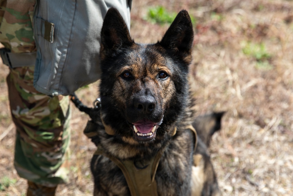 First Year Graduate Veterinary Education officers sharpen CBRNE response skills during Military Working Dog Week 2026
