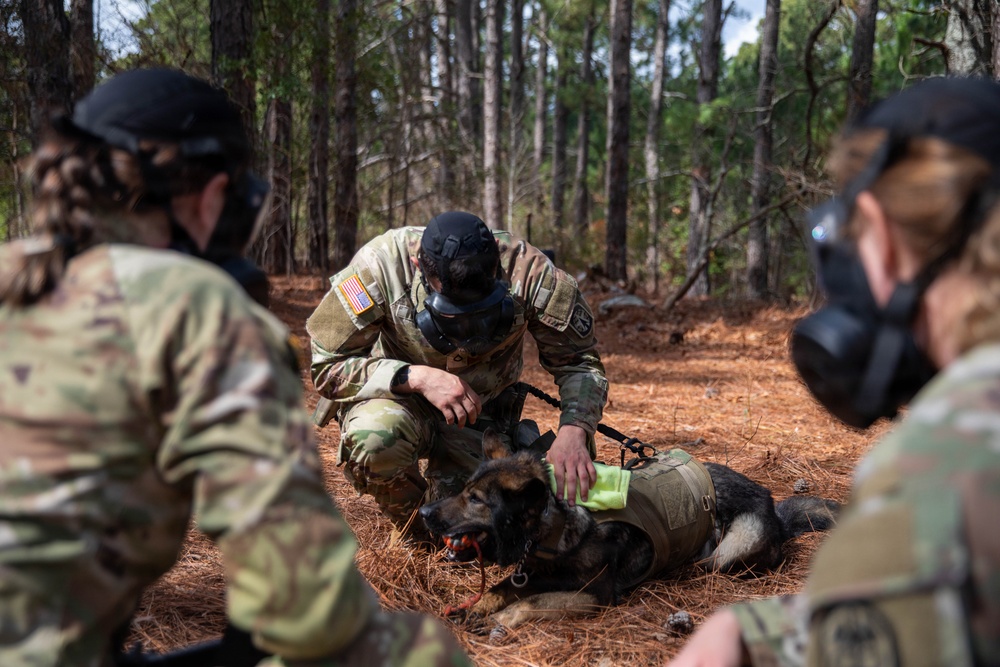 First Year Graduate Veterinary Education officers sharpen CBRNE response skills during Military Working Dog Week 2026