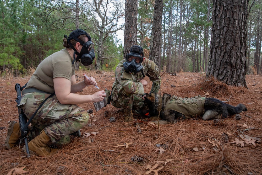 First Year Graduate Veterinary Education officers sharpen CBRNE response skills during Military Working Dog Week 2026