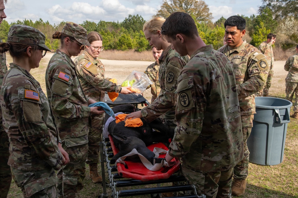 First Year Graduate Veterinary Education officers sharpen CBRNE response skills during Military Working Dog Week 2026