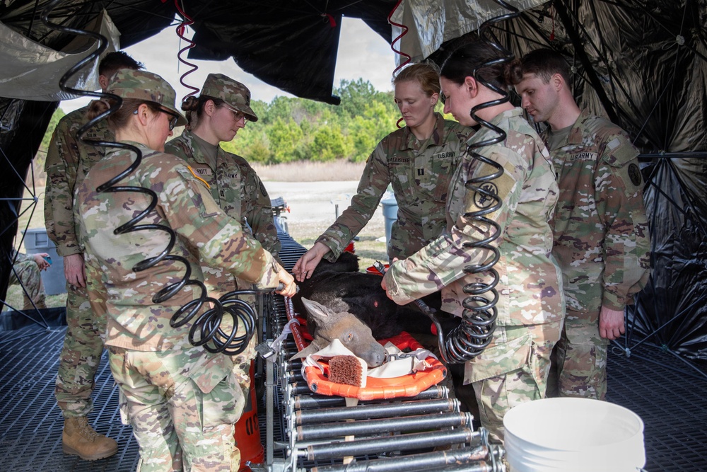 First Year Graduate Veterinary Education officers sharpen CBRNE response skills during Military Working Dog Week 2026