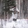 10th Special Forces Group (Airborne) train in Arctic environment during AE26
