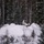 10th Special Forces Group (Airborne) train in Arctic environment during AE26