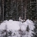 10th Special Forces Group (Airborne) train in Arctic environment during AE26