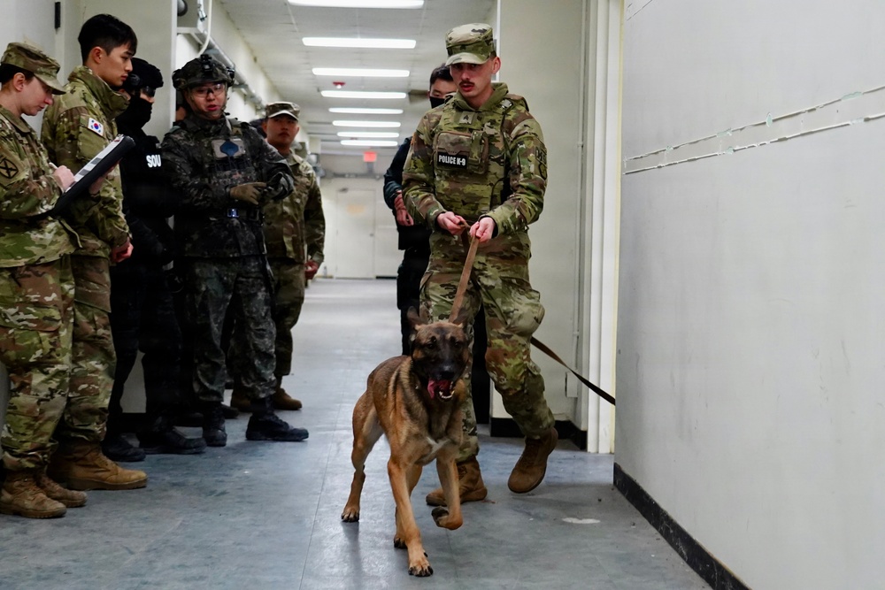 Military working dog demonstrations for joint training