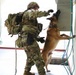 Military working dog searches concealed area