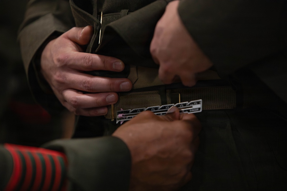 Marine Forces Reserve Service Alpha Uniform Inspection