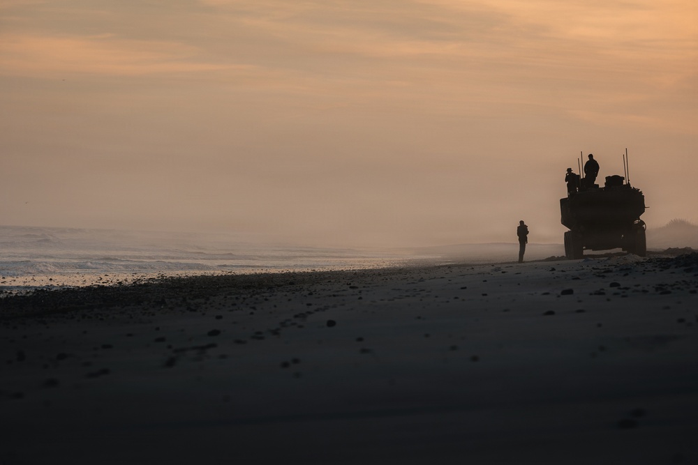 2nd AA Bn ACVs conclude TCAT 26.1 with ship-to-shore movement