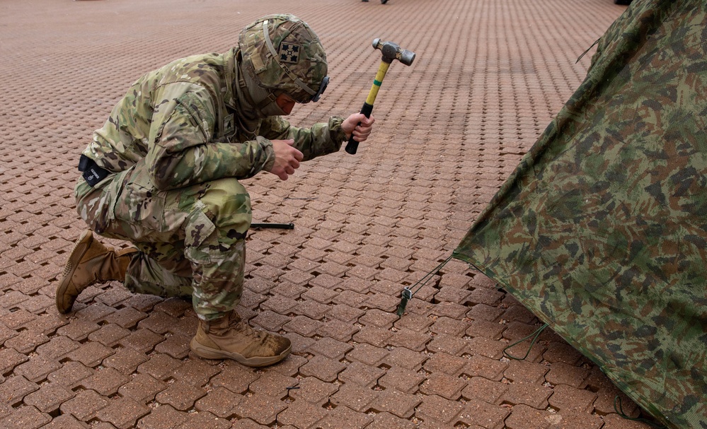 Ivy Sting 5: LRAS3 and Camo Net Setup