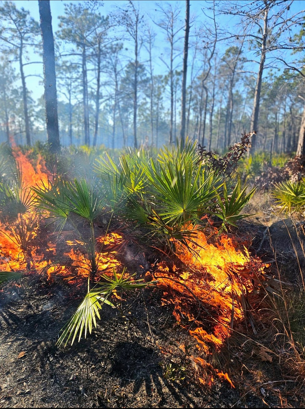 Hurlburt responds to 40-acre wildfire