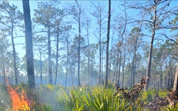 Hurlburt responds to 40-acre wildfire