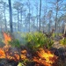 Hurlburt responds to 40-acre wildfire