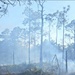 Hurlburt responds to 40-acre wildfire