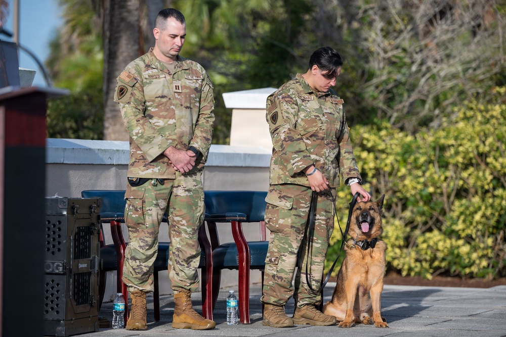 Military Working Dog Ory Hangs Up the Leash After a Legacy of Loyalty