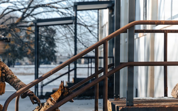 5th Special Forces Group (Airborne) conducts K-9 training