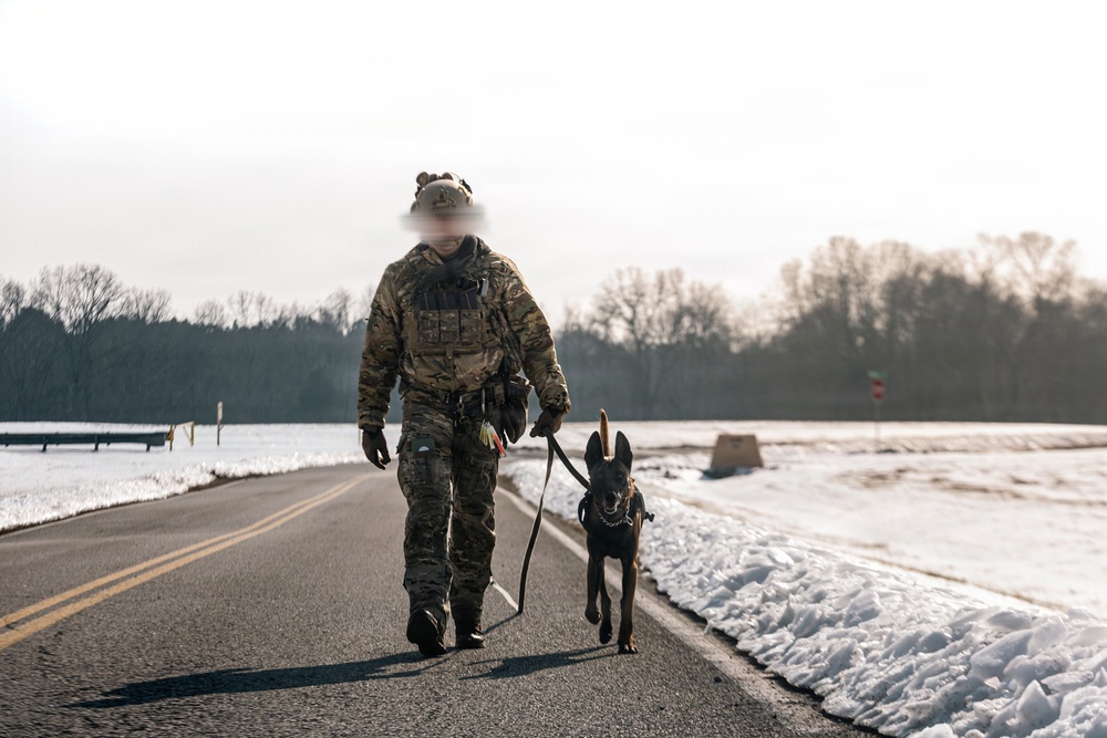 5th Special Forces Group (Airborne) conducts K-9 training