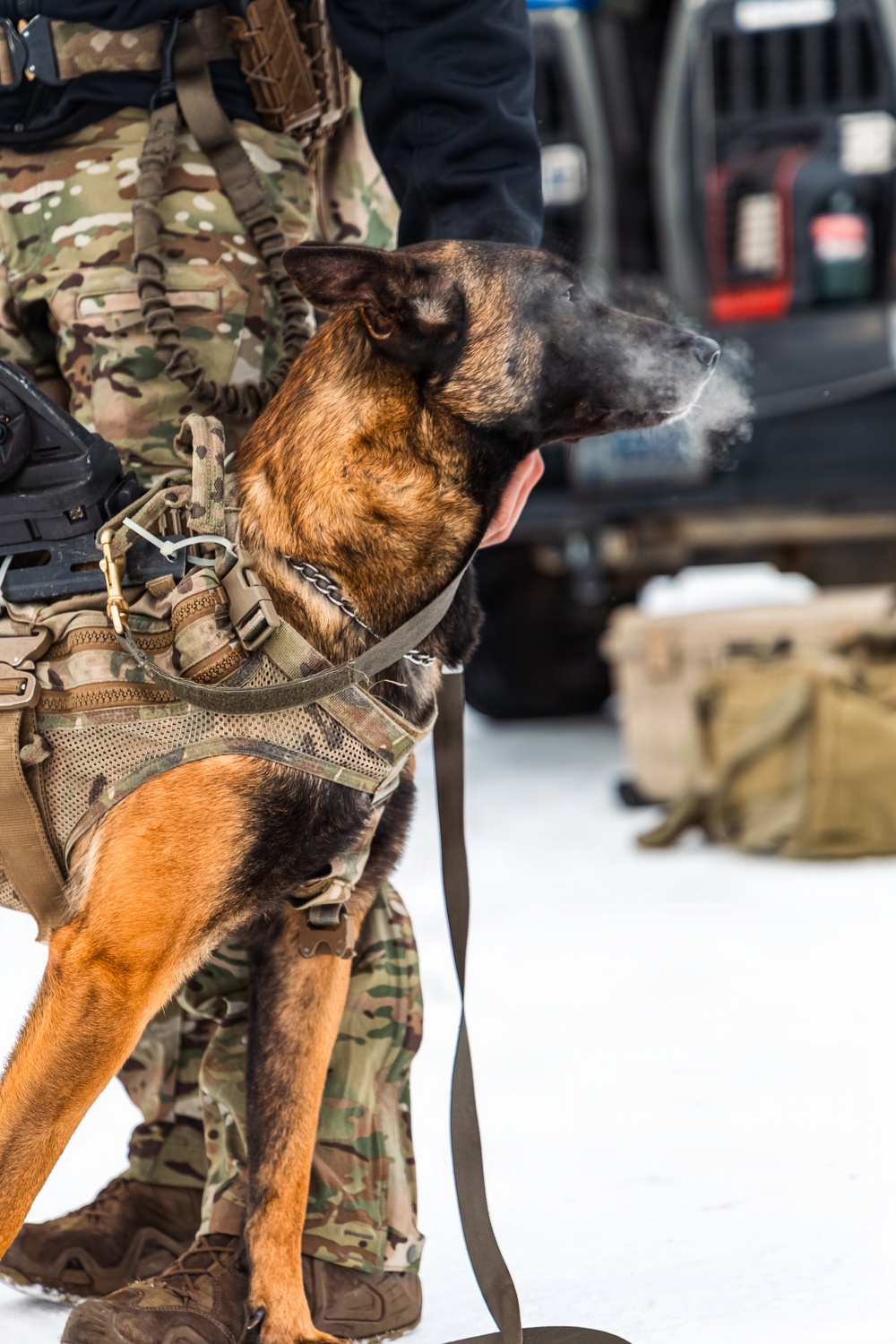 5th Special Forces Group (Airborne) conducts K-9 training