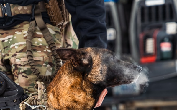 5th Special Forces Group (Airborne) conducts K-9 training