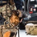 5th Special Forces Group (Airborne) conducts K-9 training