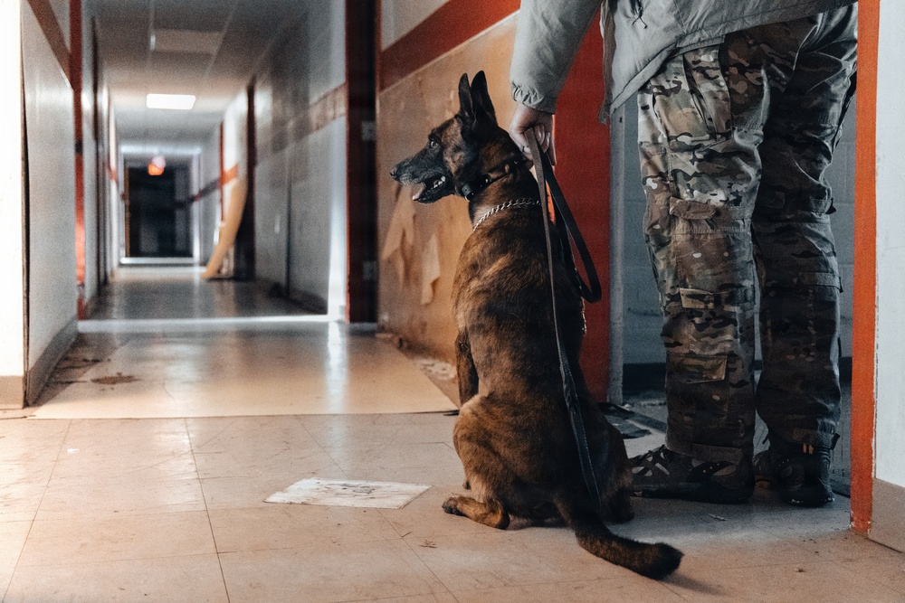 5th Special Forces Group (Airborne) conducts K-9 training
