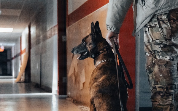 5th Special Forces Group (Airborne) conducts K-9 training