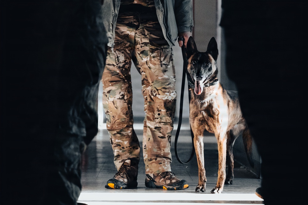 5th Special Forces Group (Airborne) conducts K-9 training