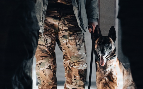 5th Special Forces Group (Airborne) conducts K-9 training