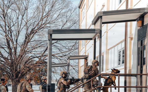 5th Special Forces Group (Airborne) conducts K-9 training