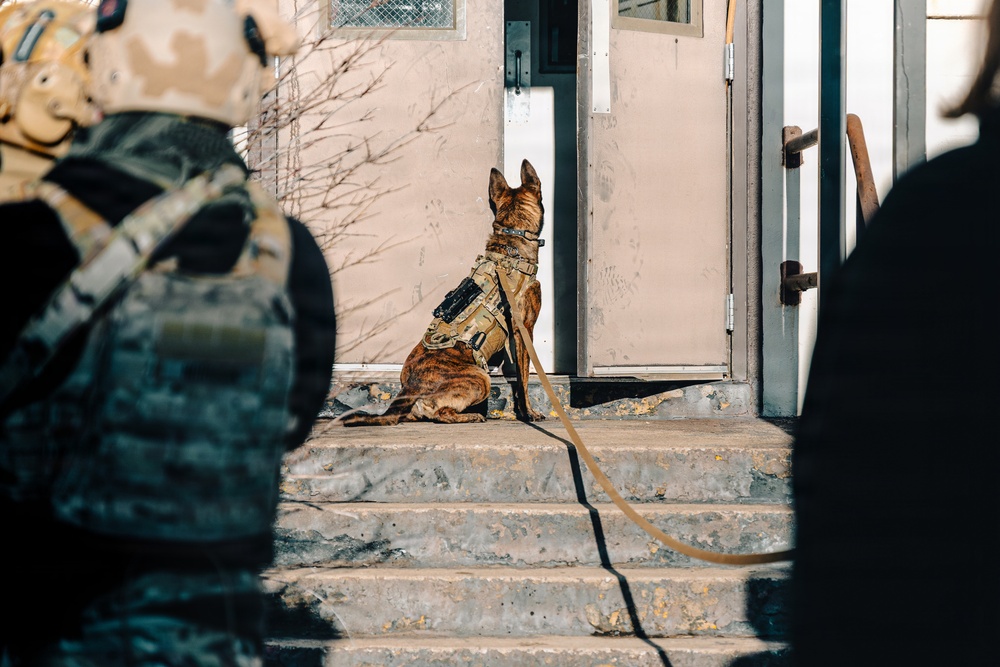 5th Special Forces Group (Airborne) conducts K-9 training