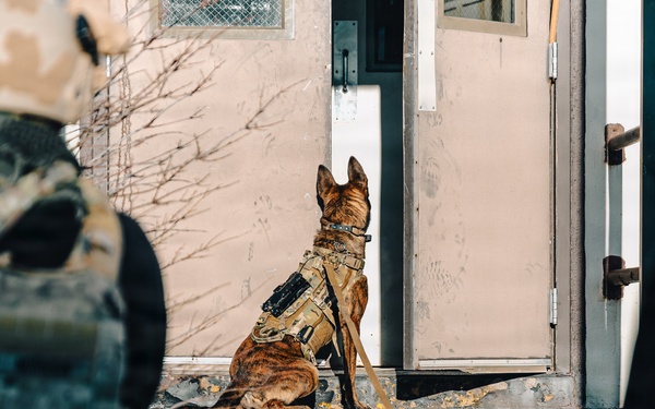 5th Special Forces Group (Airborne) conducts K-9 training