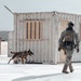 5th Special Forces Group (Airborne) conducts K-9 training
