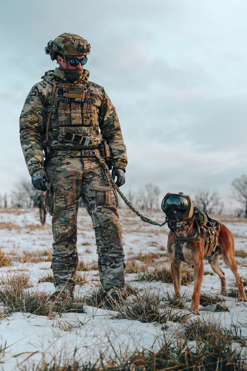 5th Special Forces Group (Airborne) conducts K-9 training