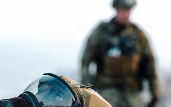 5th Special Forces Group (Airborne) conducts K-9 training